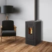 Poêle à granulés étanche connecté wifi - EMAFLAM DALA Noir - 7,9kW